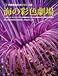 海の彩色劇場: 海のベテランカメラマンの伊藤勝敏が30年の経験の中から摩訶不思議な造形と極彩色の生き物の美しさを紹介します。