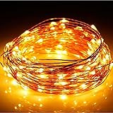 LED ストリングライト クリスマス 10m 100球 LED 電源式・銅線ワイヤー・イルミネーションライト生活防水基準IP65 ８種類の点滅パターン クリスマス 飾り 結婚式 パーティー (10M-