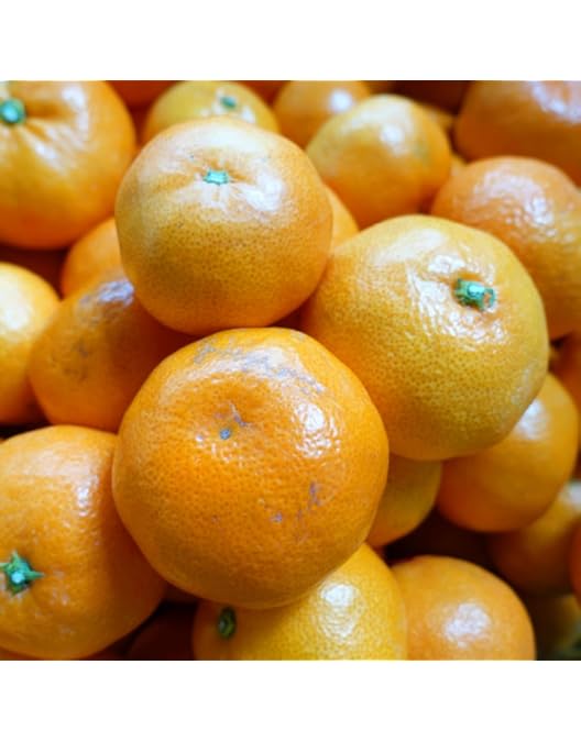 Amazon.co.jp: 愛媛西宇和 真穴みかん 約5キロ Lサイズ お歳暮贈答用