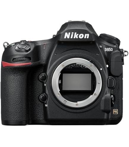 Nikon XQD Memory Card Black 120GB MC-XQ120G : Amazon.sg: Electronics