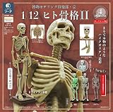 博物モデリング倶楽部・壱 1/12 ヒト骨格II 4個入りBOX