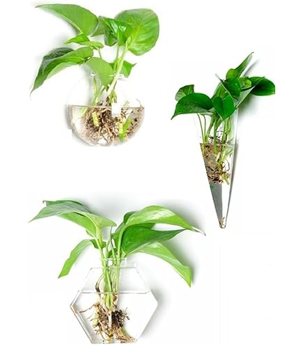 Amazon.co.jp: 一輪挿し花瓶 吊り下げ式試験管花瓶 花瓶 ミニ