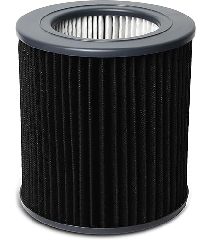 Amazon.co.jp: ソースネクスト（正規代理店） | Molekule Air Mini+