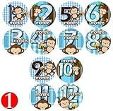 BLUE BANANA MONKEYS Baby Month Onesie Stickers Baby Shower Gift Photo Shower Stickers, baby boy monk