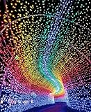 Valuetom イルミネーション ライト 300球 LED 防水 8種類パターン 3m×3m 三色選択可能 (RGB)