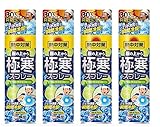【まとめ買い】小 林 製 薬 熱中対策 服の上から極 寒 スプレー 瞬間 冷却 (シトラスミントの香り330ml, 計4個)