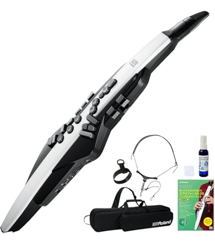 Roland AE-20 ローランド エアロフォン ウィンドシンセサイザー Roland - Aerophone AE-20 | Digital Wind Instrument