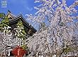 カレンダー2018 京都花紀行 京都のお祭り・行事・イベント情報付き (ヤマケイカレンダー2018)
