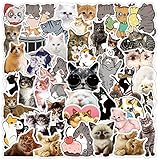 50枚かわいい猫 ステッカー防水可愛いねこシール可おしゃれ手帳 DIYステッカースノーボード スーツケース ギター 車 自転車 水筒 スケートボード バイク ヘルメット パソコン 携帯ノートステッカー