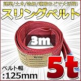 スリングベルト 幅125mm 使用荷重5t 5000kg ベルトスリング 繊維ベルト 吊りベルト クレーンベルト 帯ベルト 吊り上げ 作業用 屋外 建設機械 船舶 運搬作業 ポリエステル素材 土木 農