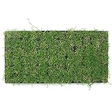 ティフトン419(ポット苗) 50ポット 12.5平米(3.8坪)分 群馬産