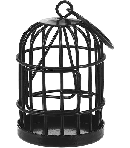 Amazon.co.jp: CAQYPVH 鳥かご アンティーク調 鳥籠 アイアン製 バード
