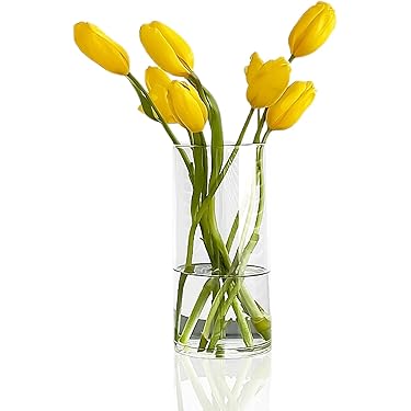 Amazon.co.jp 売れ筋ランキング: ディスプレイ収納・花器 の中で最も