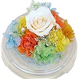 元気と幸運を運ぶビタミンカラーの枯れないお花のプリザーブド・ドームシリーズＭ　マリーナ 日時指定無料