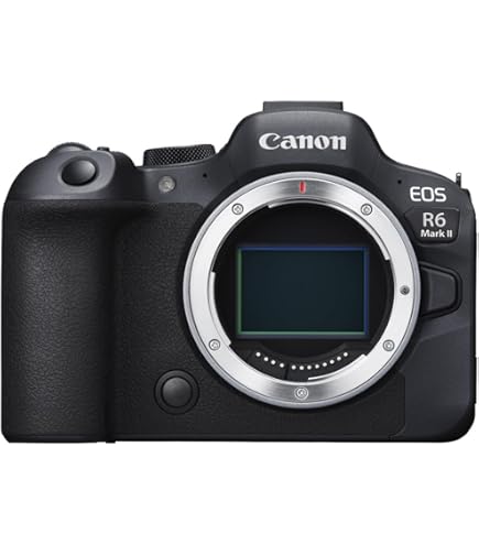 Canon EOS R6＋RF24-105 f4 おまけ多数 CANON EOS R6 RF24-105 IS STM レンズキット 価格比較 - 価格.com