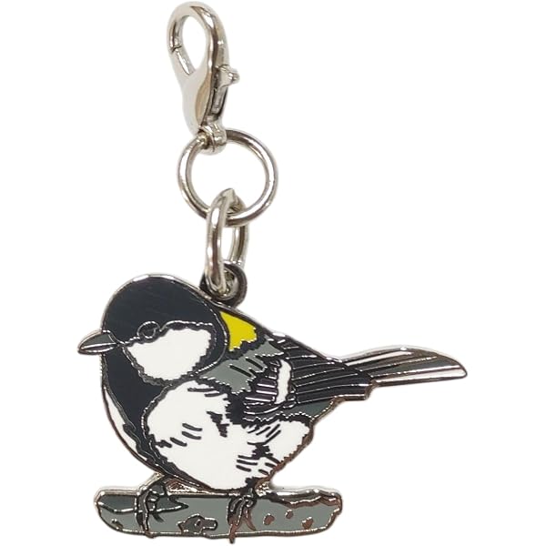 Amazon.co.jp: 野鳥 シジュウカラ キーホルダー 野鳥 グッズ 鳥 バード
