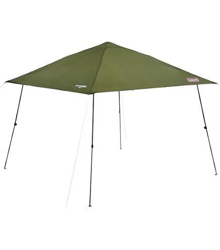 Amazon.co.jp: Coleman Instant Visor Shade III/M DR Sunshade Tarp