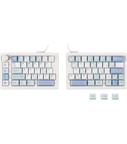 Amazon | ライジュウ NISABI V2 LAK キーキャップ 日本語配列 分割式