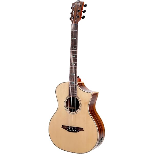 Amazon.co.jp: Bromo Guitars ブロモギターズ BAT2M TAHOMA SERIES