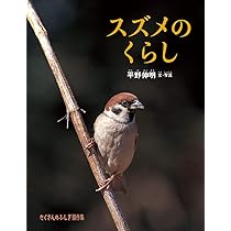 スズメのくらし (たくさんのふしぎ傑作集) | 平野 伸明 |本 | 通販