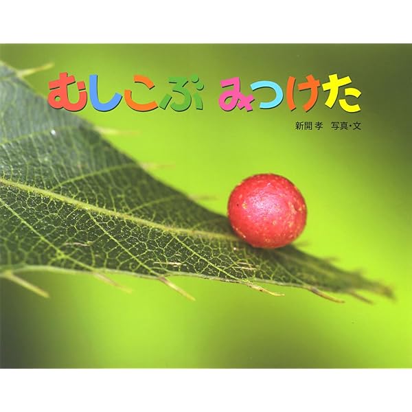 Amazon.co.jp: まちぼうけの生態学 アカオニグモと草むらの虫たち