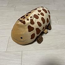 Amazon.co.jp: オオサンショウウオ ぬいぐるみ 京都水族館