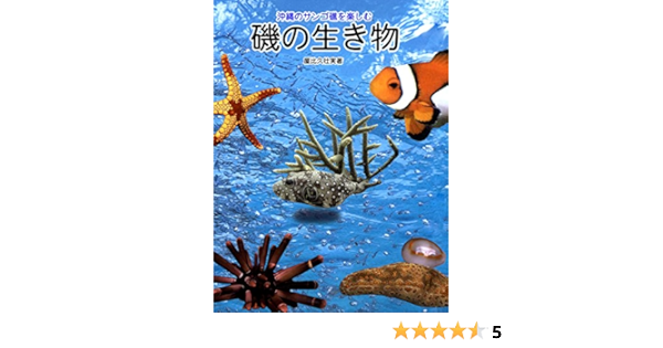 Amazon Co Jp 沖縄のサンゴ礁を楽しむ磯の生き物 Ebook 屋比久 壮実 本