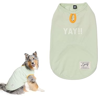 Amazon.co.jp 最新リリース: 犬用服・アクセサリ の新着ランキングです。