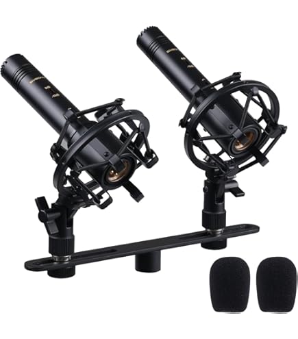 SAMSON C02 コンデンサーマイク ペア（2本セット）ケース・クリップ付 Samson C02 Pencil Condenser Microphones