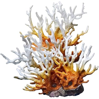 Amazon.co.jp ほしい物ランキング: 水槽用サンゴ で、ほしい物リストと