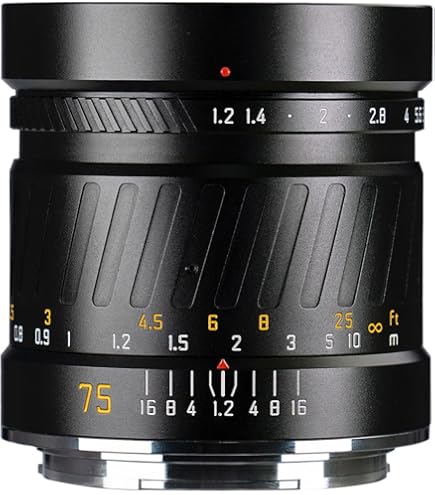 Amazon.co.jp: 富士フイルム(FUJIFILM) フジノン GFレンズ GF63MMF2.8