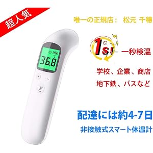 【4-7日でお届けします】【日本語説明書付】