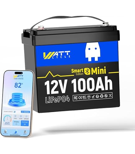Amazon.co.jp: Evopow LiFePO4リン酸鉄リチウムイオンバッテリー