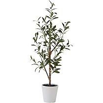Amazon｜Nearly Natural 人工樹木 オリーブ ホワイトプランター付 0.9m
