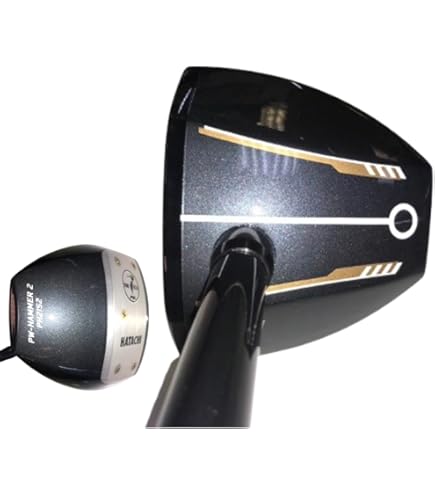 Amazon | ノースウェイスポーツ Northway Sports パークゴルフ NSG