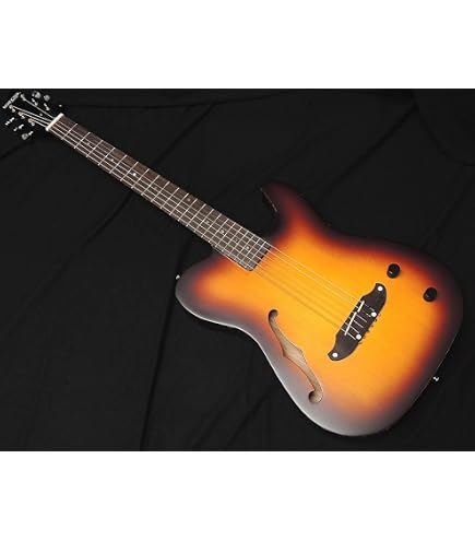 Amazon | SCHECTER OL-FL-P RNT Oriental Line シェクター 薄胴 