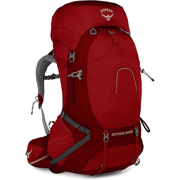 Osprey - OSPREY オスプレー カイト 36/パープルカラー/WS/M Amazon.co.jp: OSPREY(オスプレー) カイト36 OS50156 パープル
