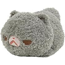 ポメラニアンもち ポメラニアンのもち丸🐶 | 珍しい横アングル🐻‍❄️ 最近こぐま