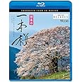 日本の一本桜 4K撮影作品 【Blu-ray Disc】
