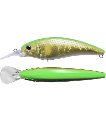 Amazon | JACKALL(ジャッカル) ナワバリ レンジ (NAWABARI RANGE