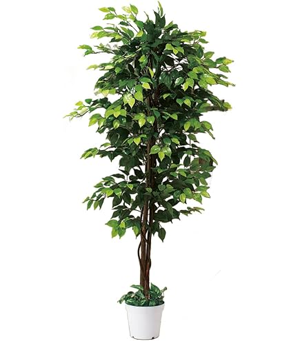 TANGKULA 人工観葉植物 180cm 大型 フェイクグリーン Amazon｜TANGKULA 観葉植物 フェイク 180cm 大型 フェイクグリーン