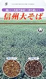 日本タネセンター 信州大そば (特用作物) 1dl