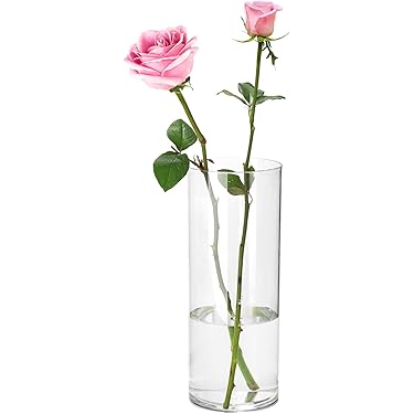 Amazon.co.jp 売れ筋ランキング: ディスプレイ収納・花器 の中で