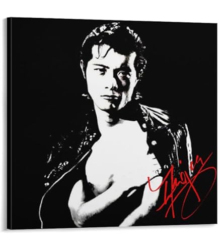 Amazon.co.jp: レトロ 矢沢永吉日本の歌手アート ポスター (11