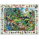 Birds of the Backyard - 1000 Piece Jigsaw Puzzle