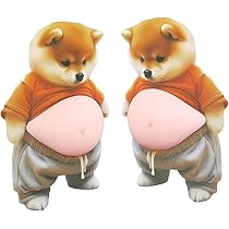 61sT2VDttrL._AC_UL210_SR210,