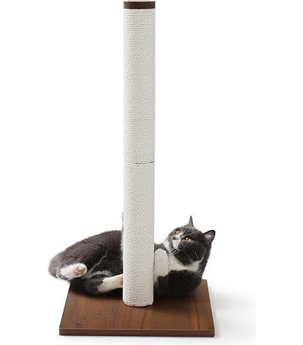 Amazon | マウ (Mau) 爪とぎ キャットポール | Mau | 爪とぎ 通販