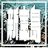 新宝島(初回限定盤)