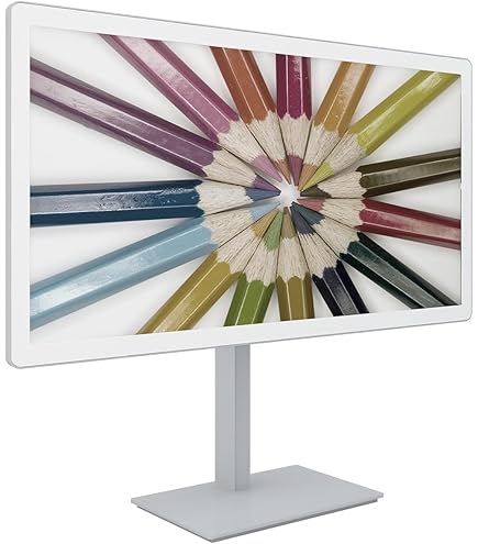 Amazon.co.jp: Bigme B251 25.3 インチ 電子インクディスプレイ