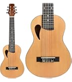 【音音】ミニアコースティックギター【DT1M NTM】 音音 DT1M NTM (ナチュラルマホガニー) ミニアコースティック